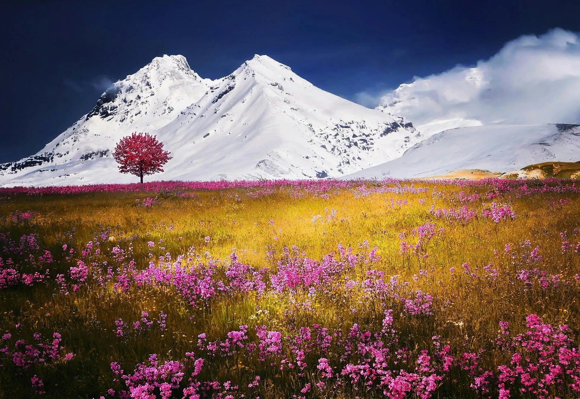 https://images.pexels.com/photos/36032/alps-tree-snow-nature-landscape-flowers-grass.jpg