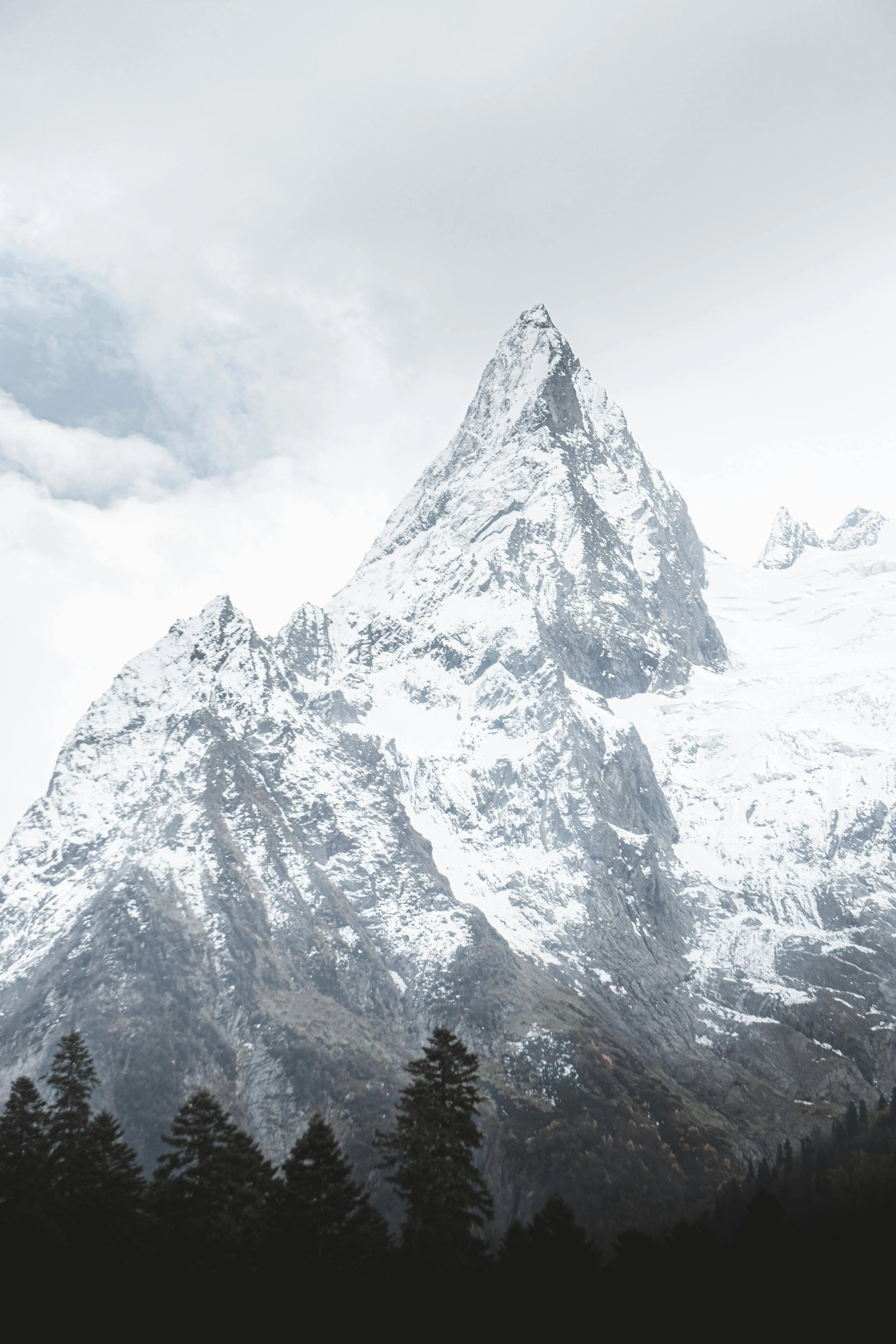 https://images.pexels.com/photos/10413294/pexels-photo-10413294.jpeg