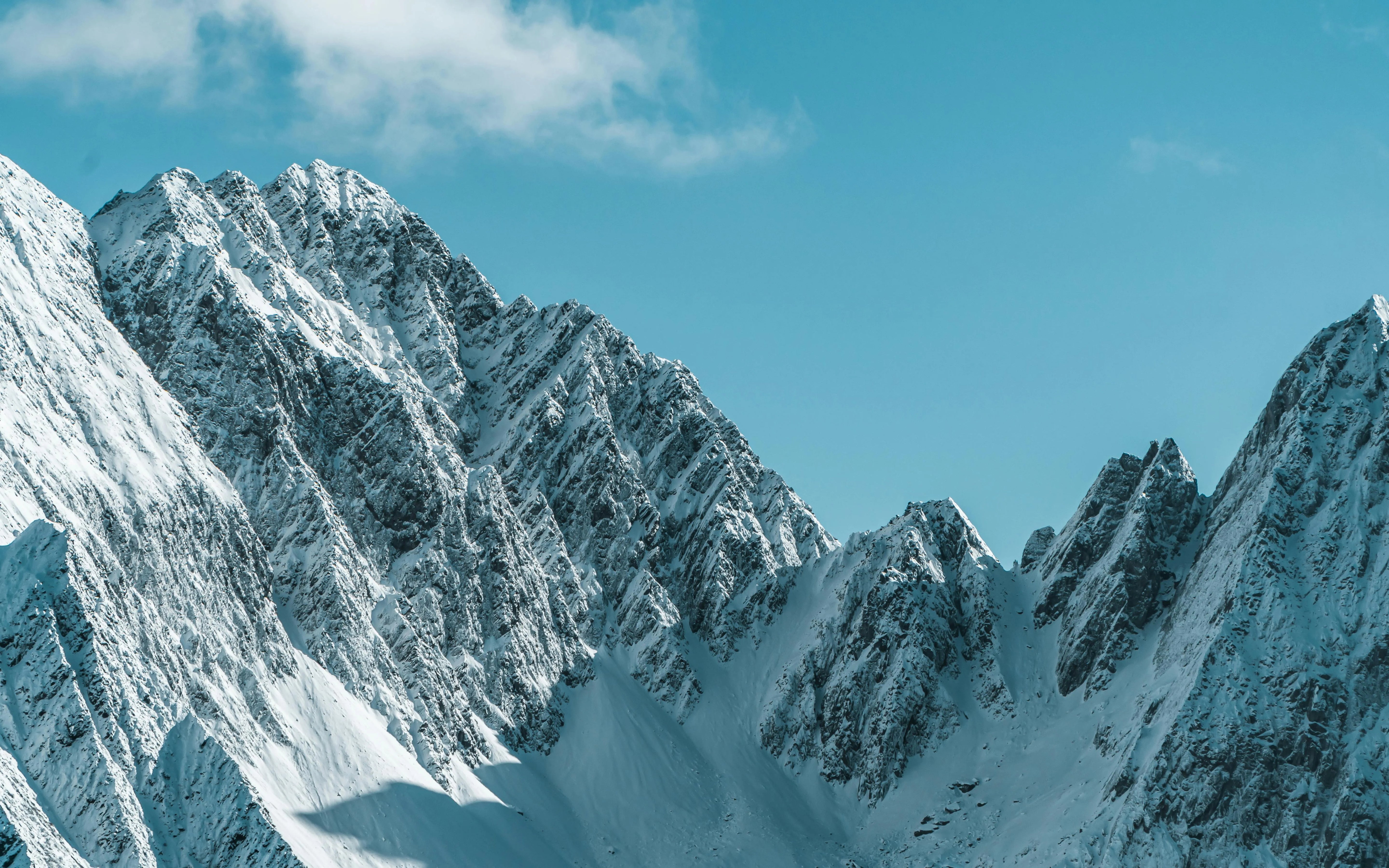 https://images.pexels.com/photos/10521157/pexels-photo-10521157.jpeg