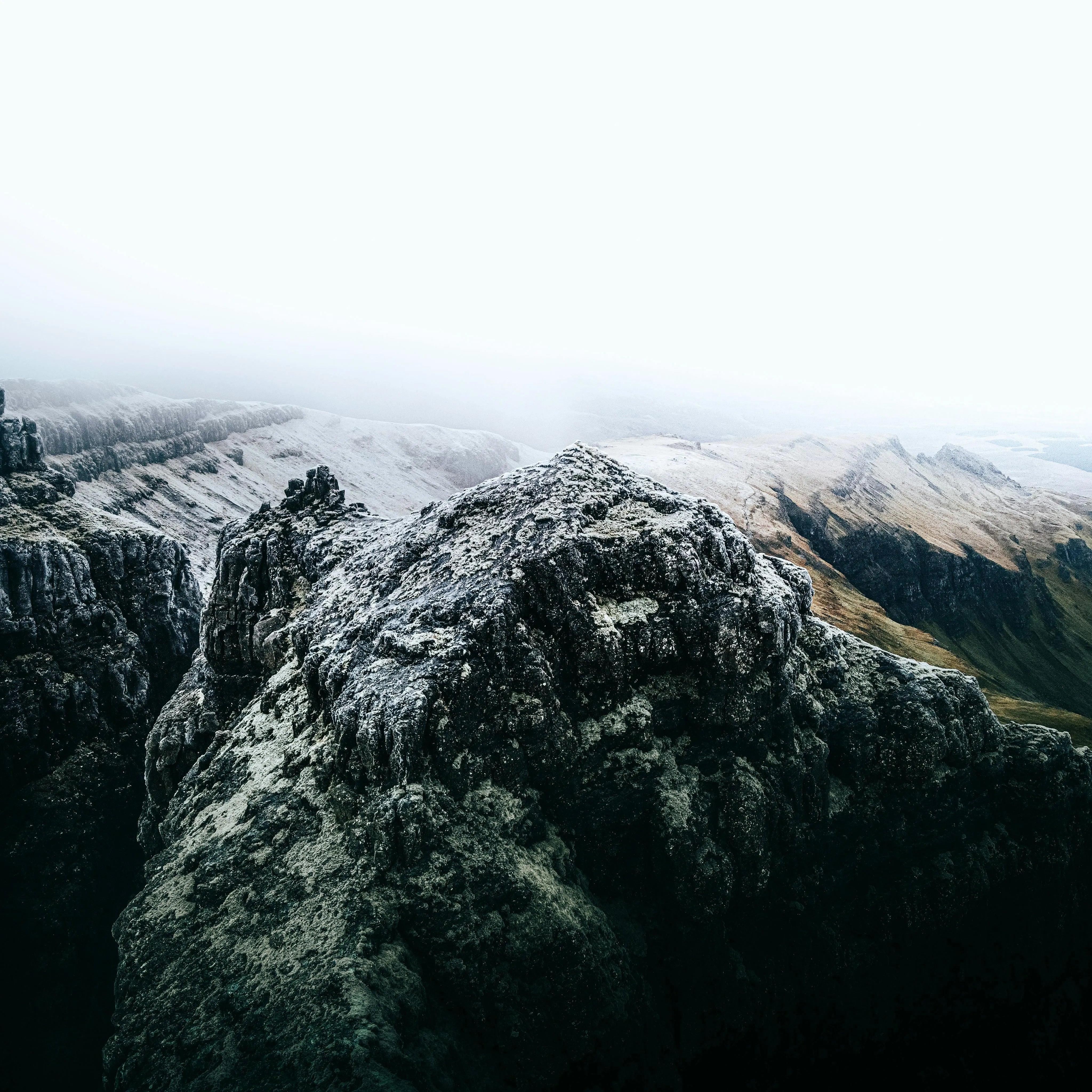 https://images.pexels.com/photos/11098974/pexels-photo-11098974.jpeg