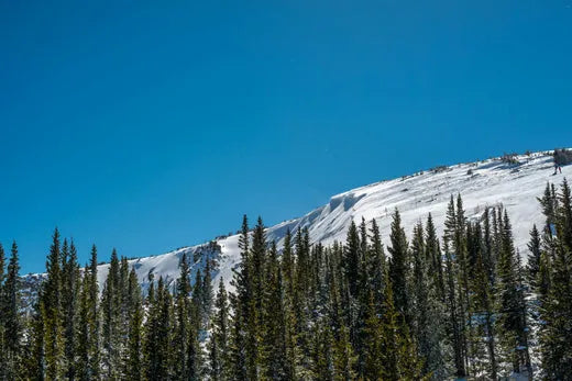 https://images.pexels.com/photos/11615973/pexels-photo-11615973.jpeg