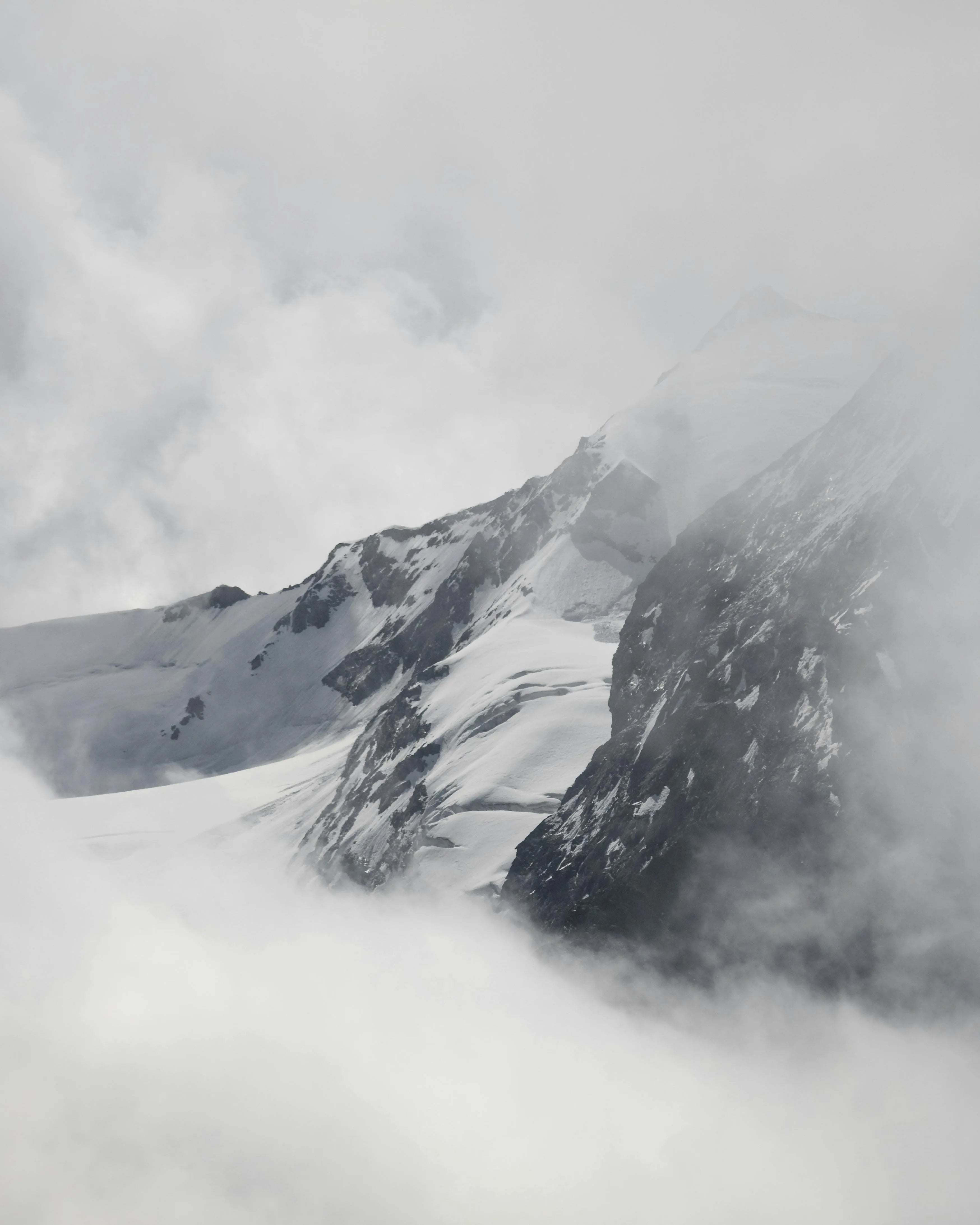 https://images.pexels.com/photos/12906179/pexels-photo-12906179.jpeg