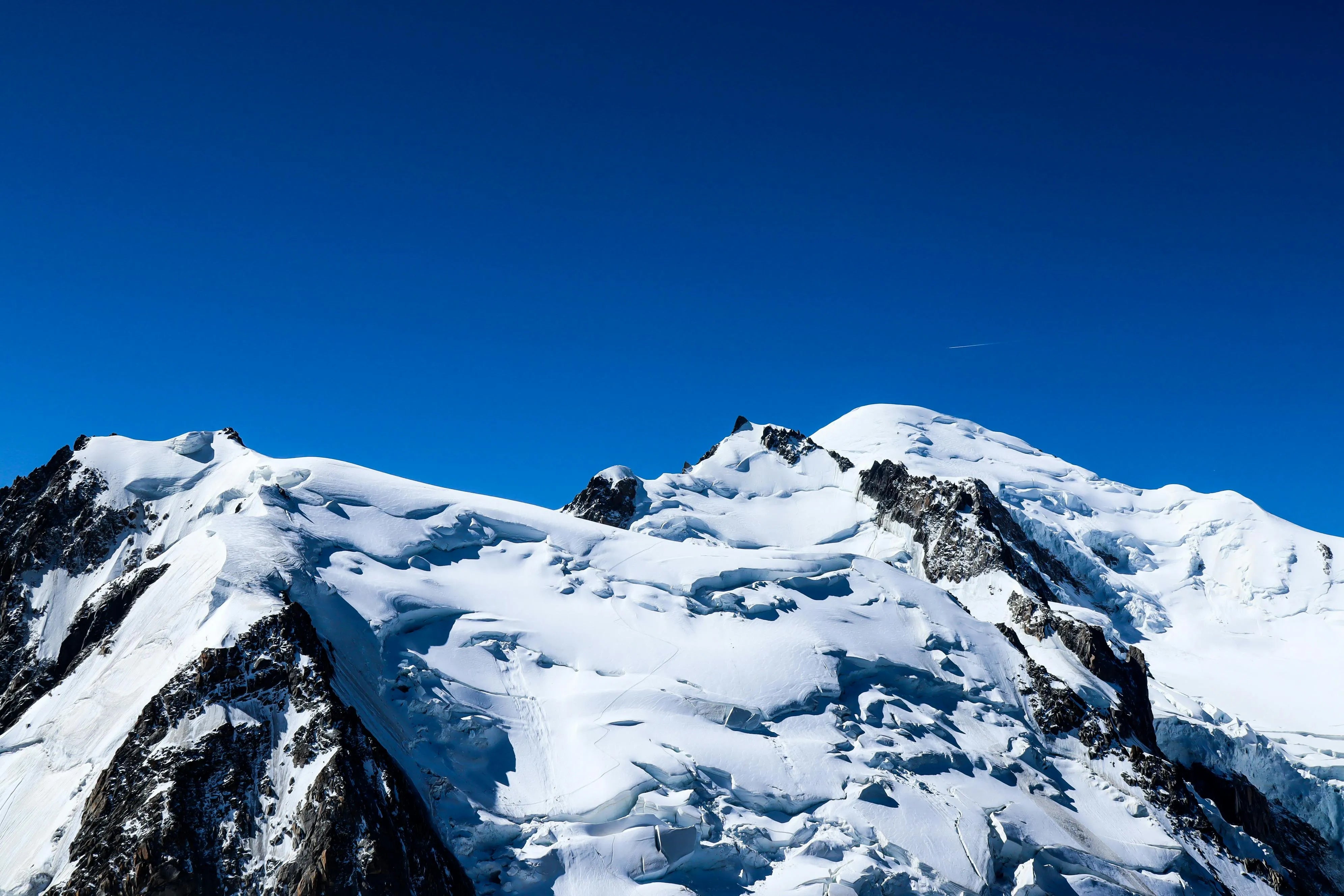 https://images.pexels.com/photos/15033893/pexels-photo-15033893.jpeg