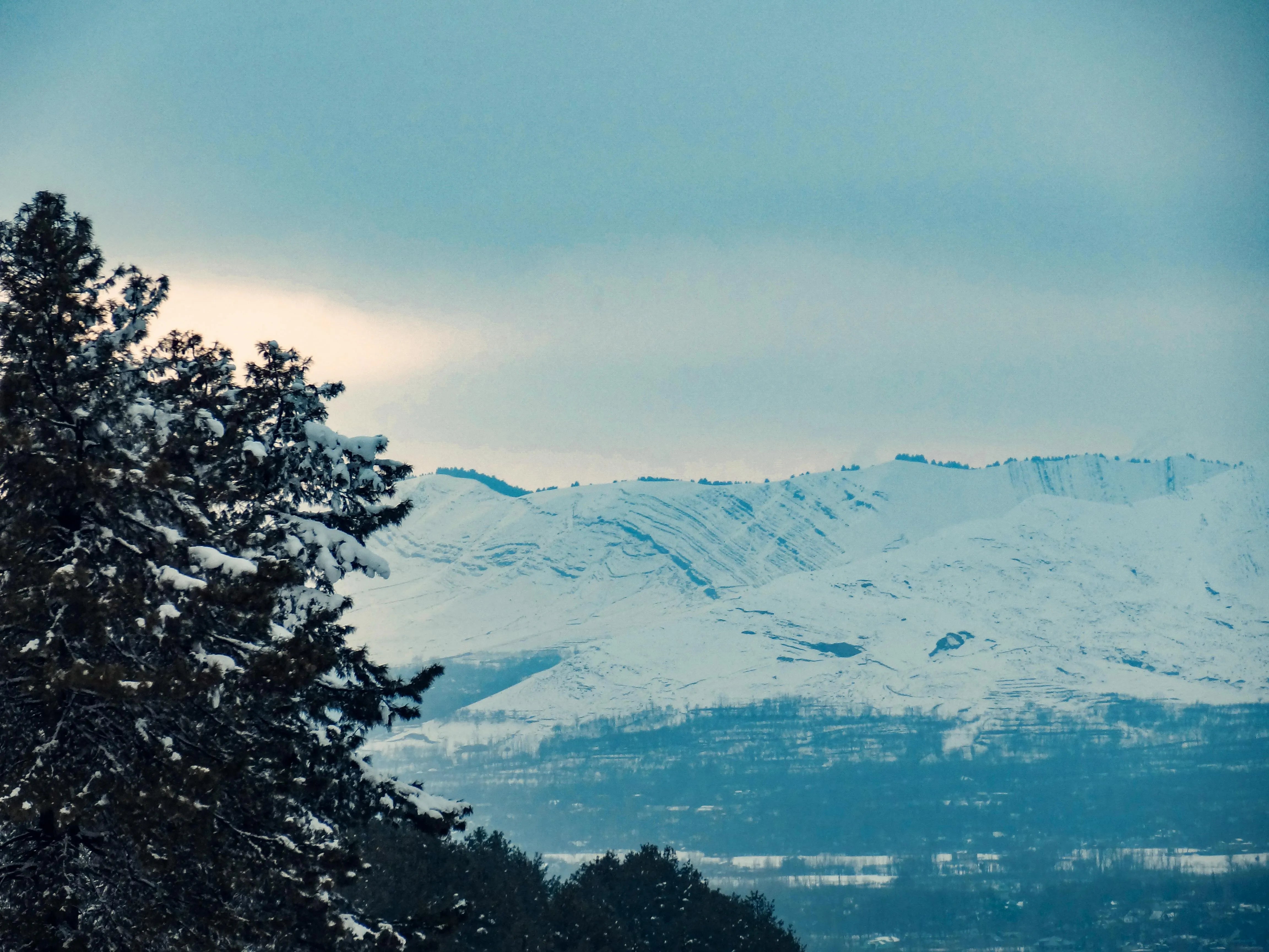 https://images.pexels.com/photos/15167116/pexels-photo-15167116.png