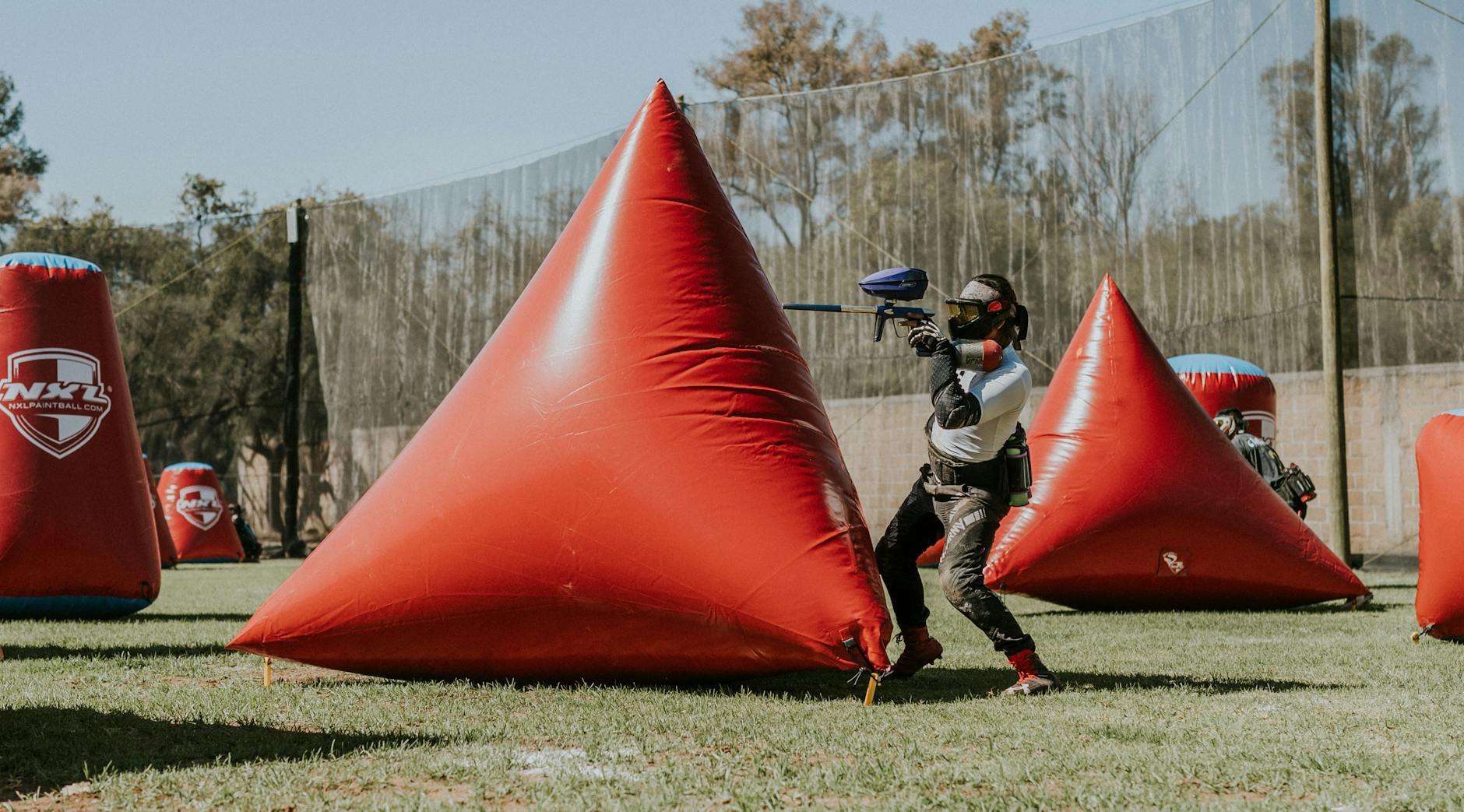 https://images.pexels.com/photos/15449210/pexels-photo-15449210.jpeg