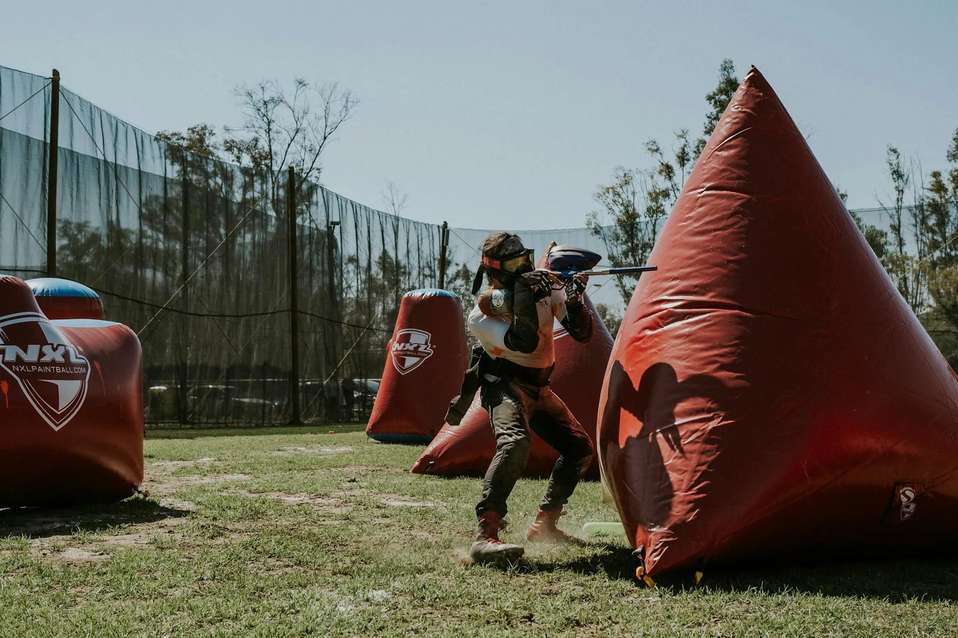https://images.pexels.com/photos/15449215/pexels-photo-15449215.jpeg