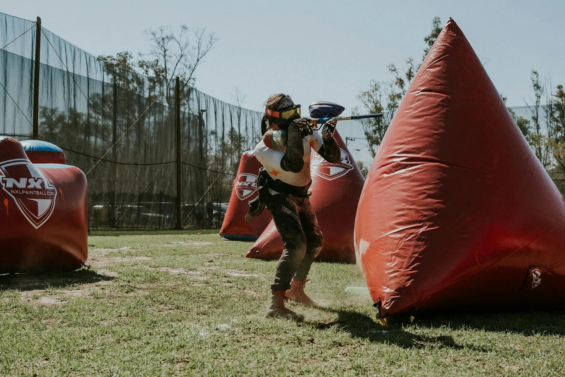 https://images.pexels.com/photos/15449216/pexels-photo-15449216.jpeg