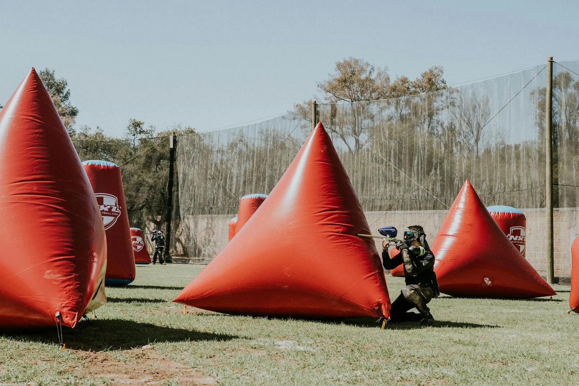 https://images.pexels.com/photos/15449220/pexels-photo-15449220.jpeg