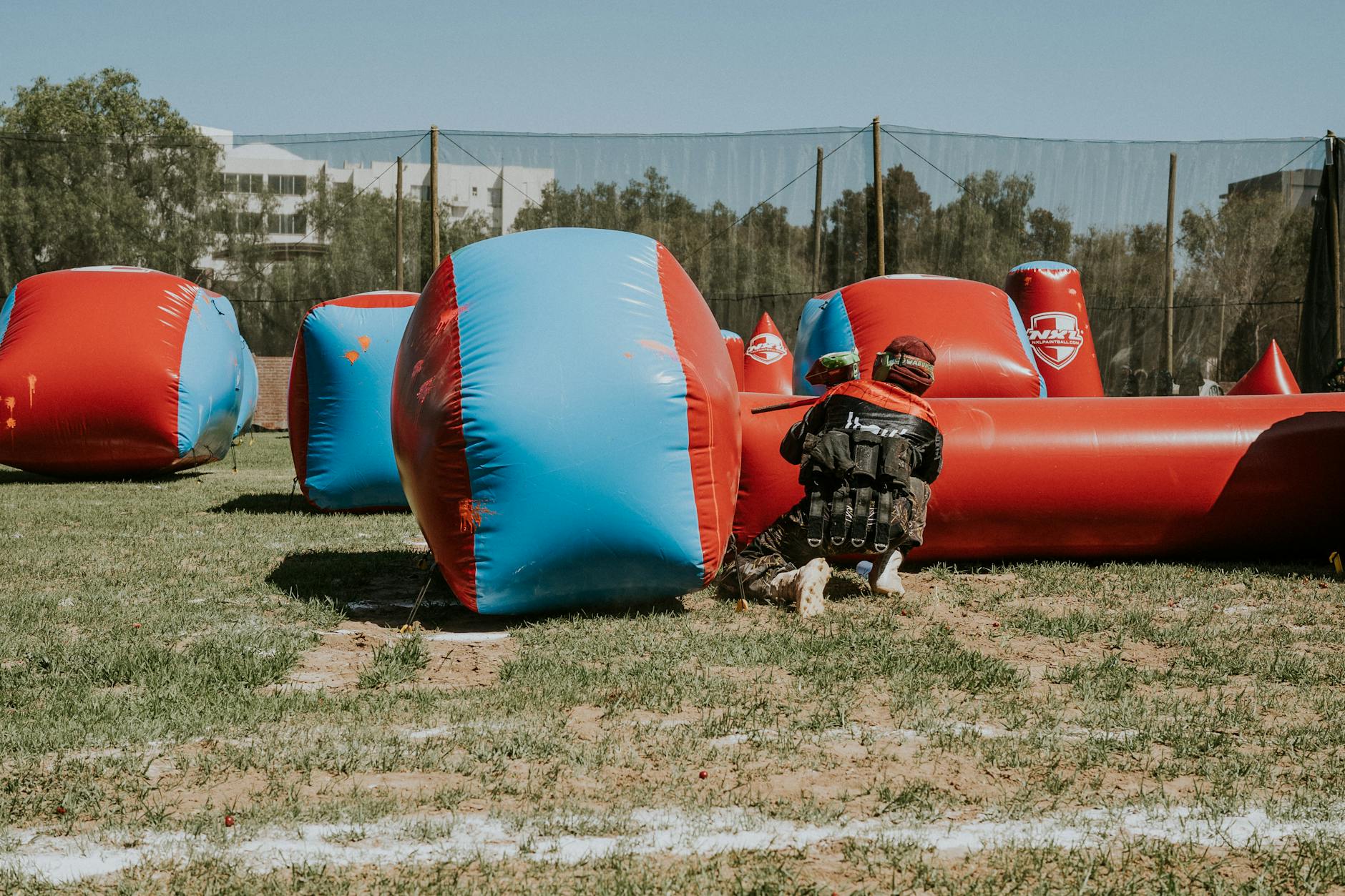 https://images.pexels.com/photos/15449254/pexels-photo-15449254.jpeg