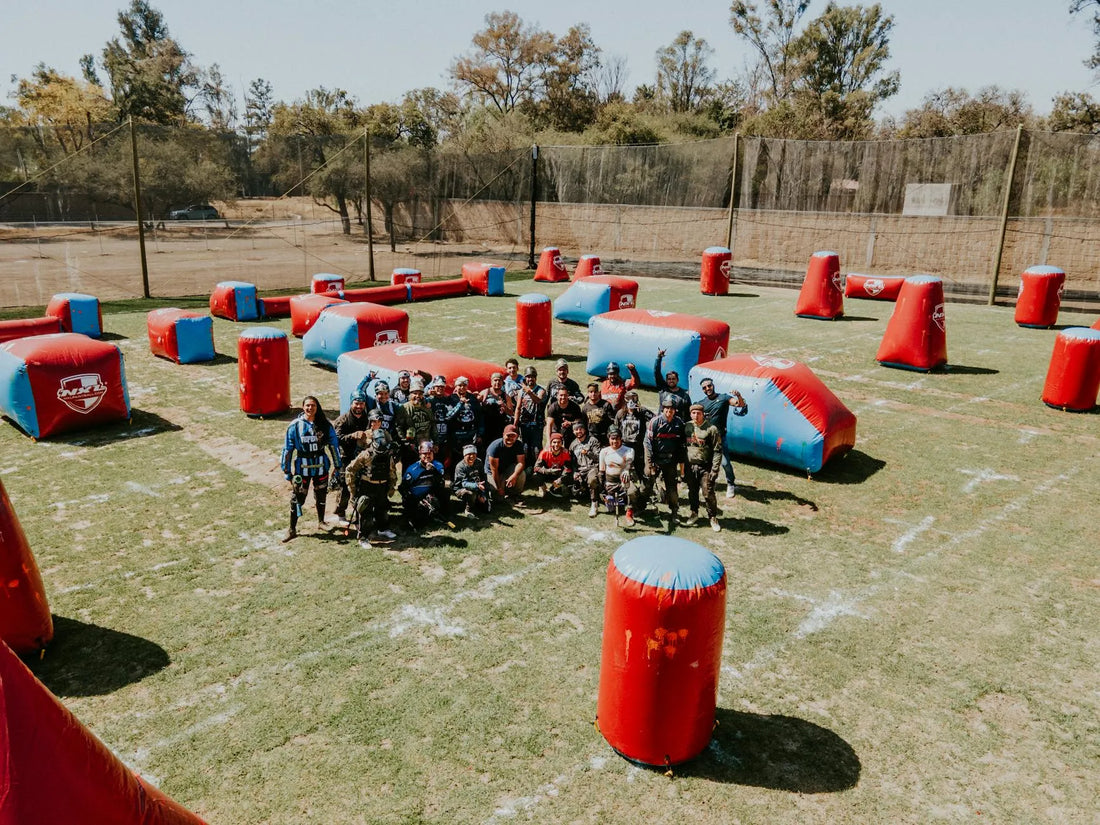 https://images.pexels.com/photos/15449325/pexels-photo-15449325.jpeg