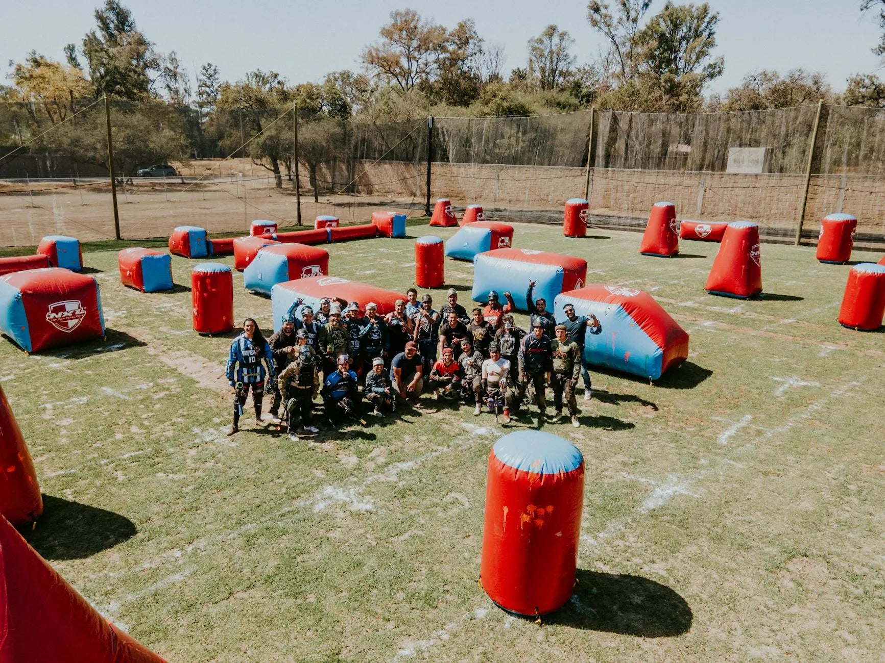 https://images.pexels.com/photos/15449325/pexels-photo-15449325.jpeg