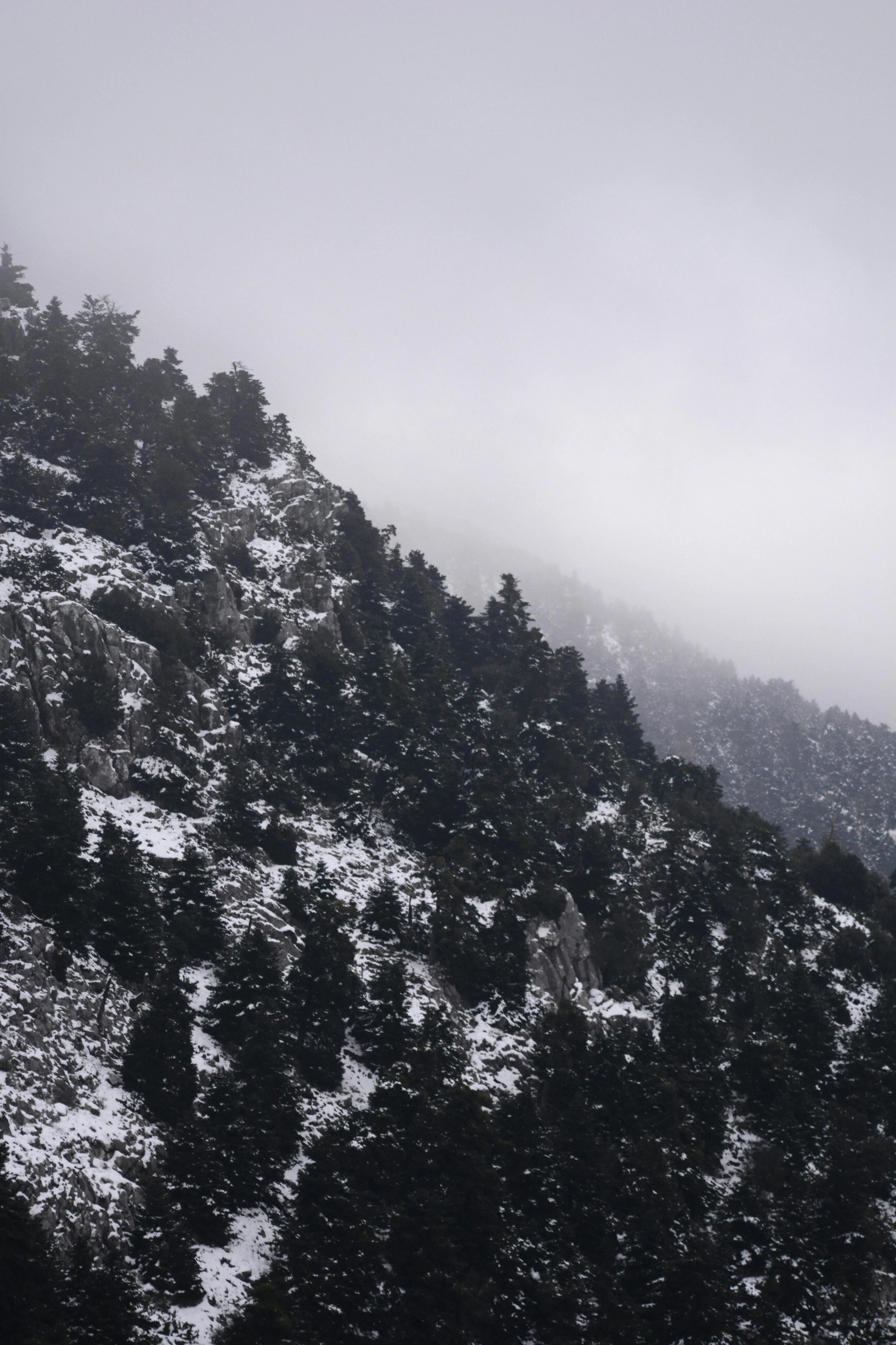 https://images.pexels.com/photos/1657350/pexels-photo-1657350.jpeg