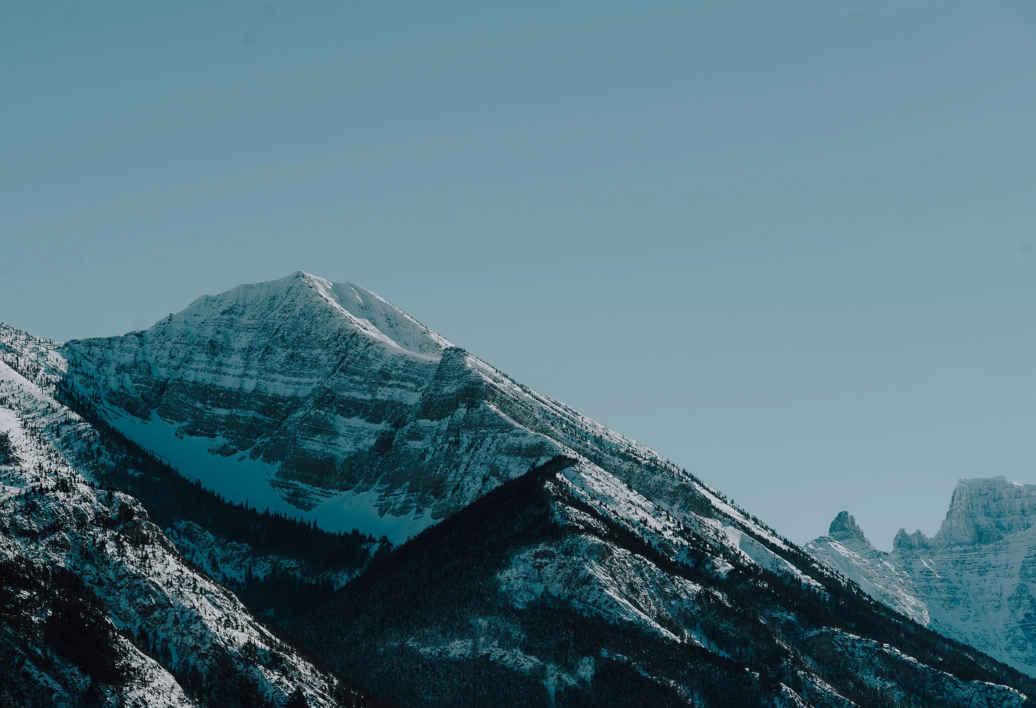 https://images.pexels.com/photos/20312682/pexels-photo-20312682.jpeg