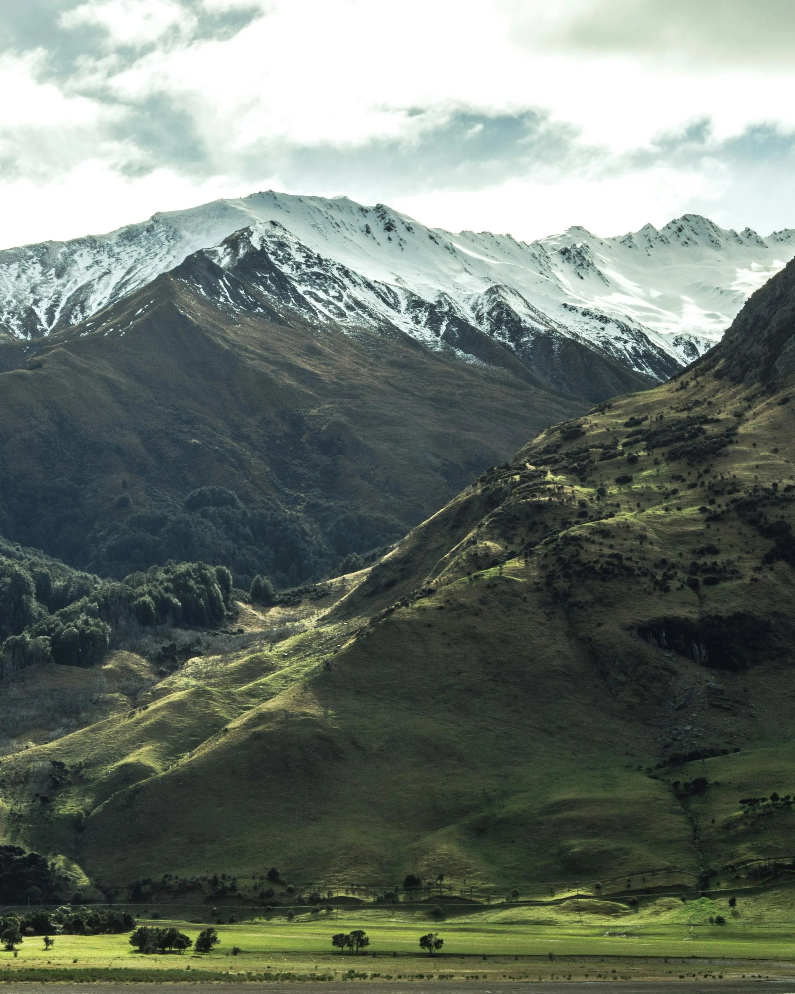 https://images.pexels.com/photos/2187626/pexels-photo-2187626.jpeg
