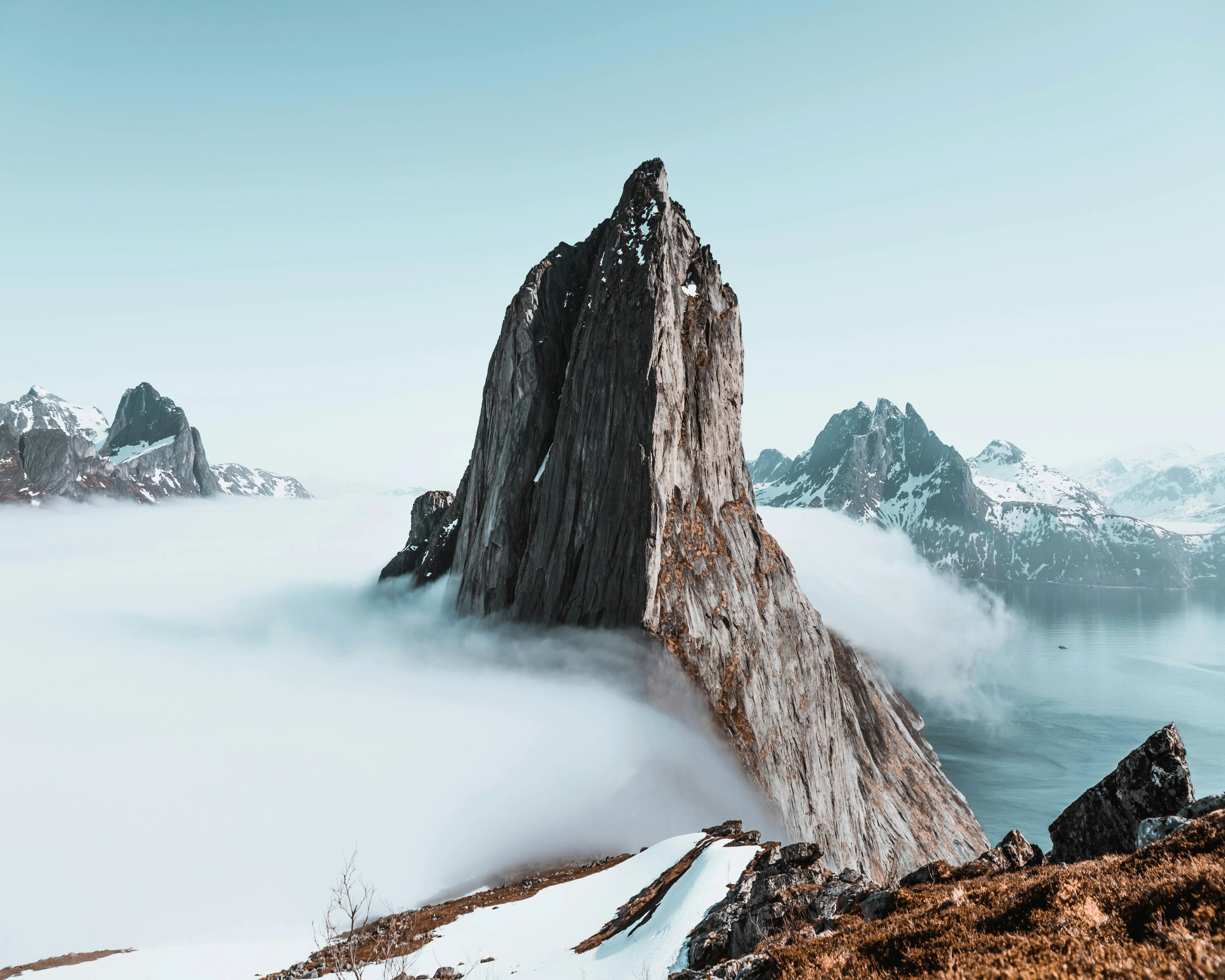 https://images.pexels.com/photos/2335126/pexels-photo-2335126.jpeg