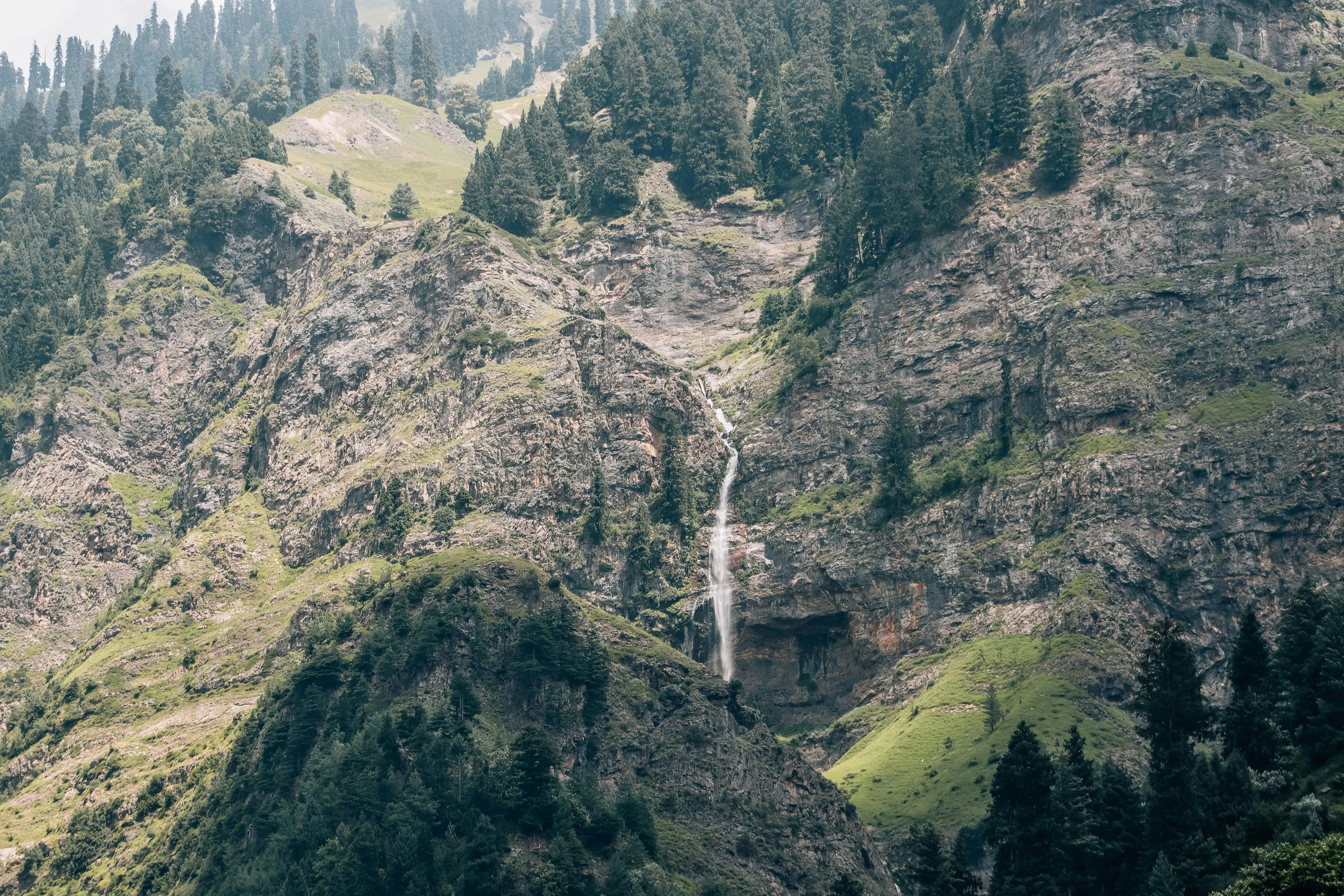 https://images.pexels.com/photos/27240644/pexels-photo-27240644.jpeg