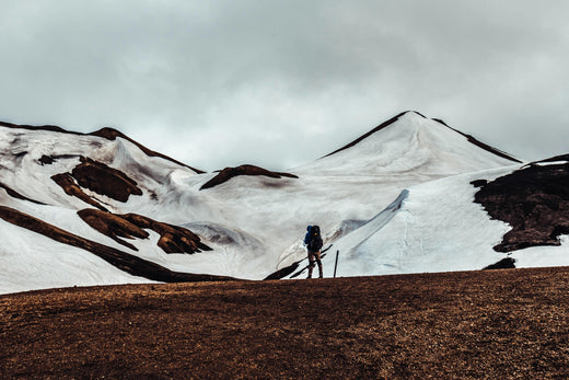 https://images.pexels.com/photos/27680485/pexels-photo-27680485.jpeg