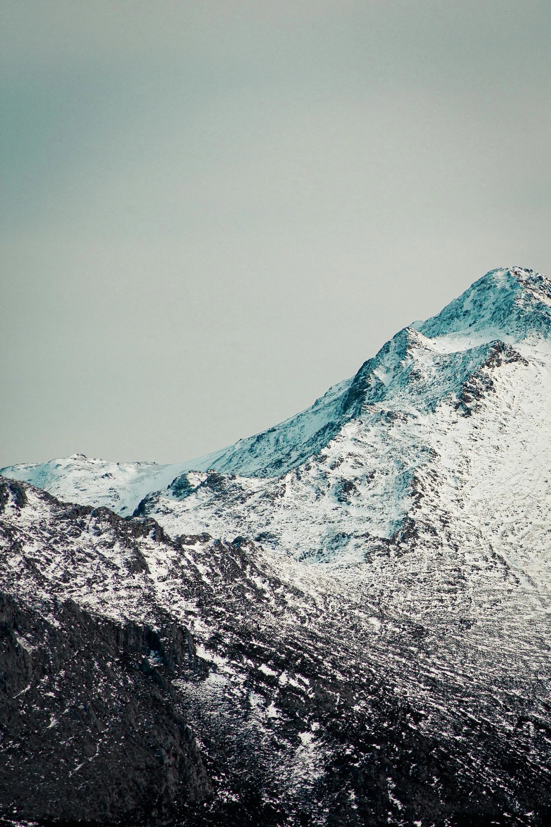 https://images.pexels.com/photos/3874872/pexels-photo-3874872.jpeg