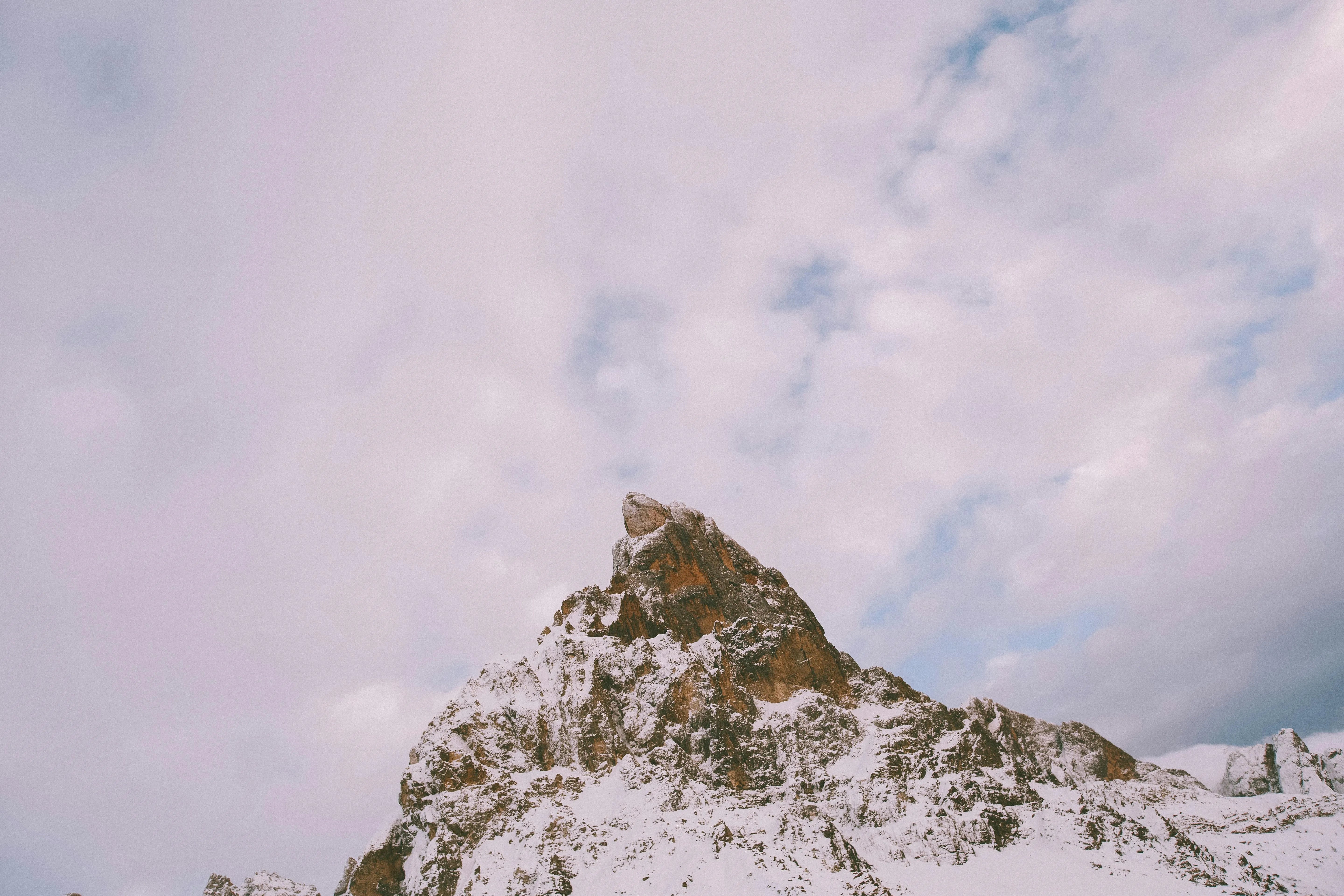 https://images.pexels.com/photos/4067777/pexels-photo-4067777.jpeg