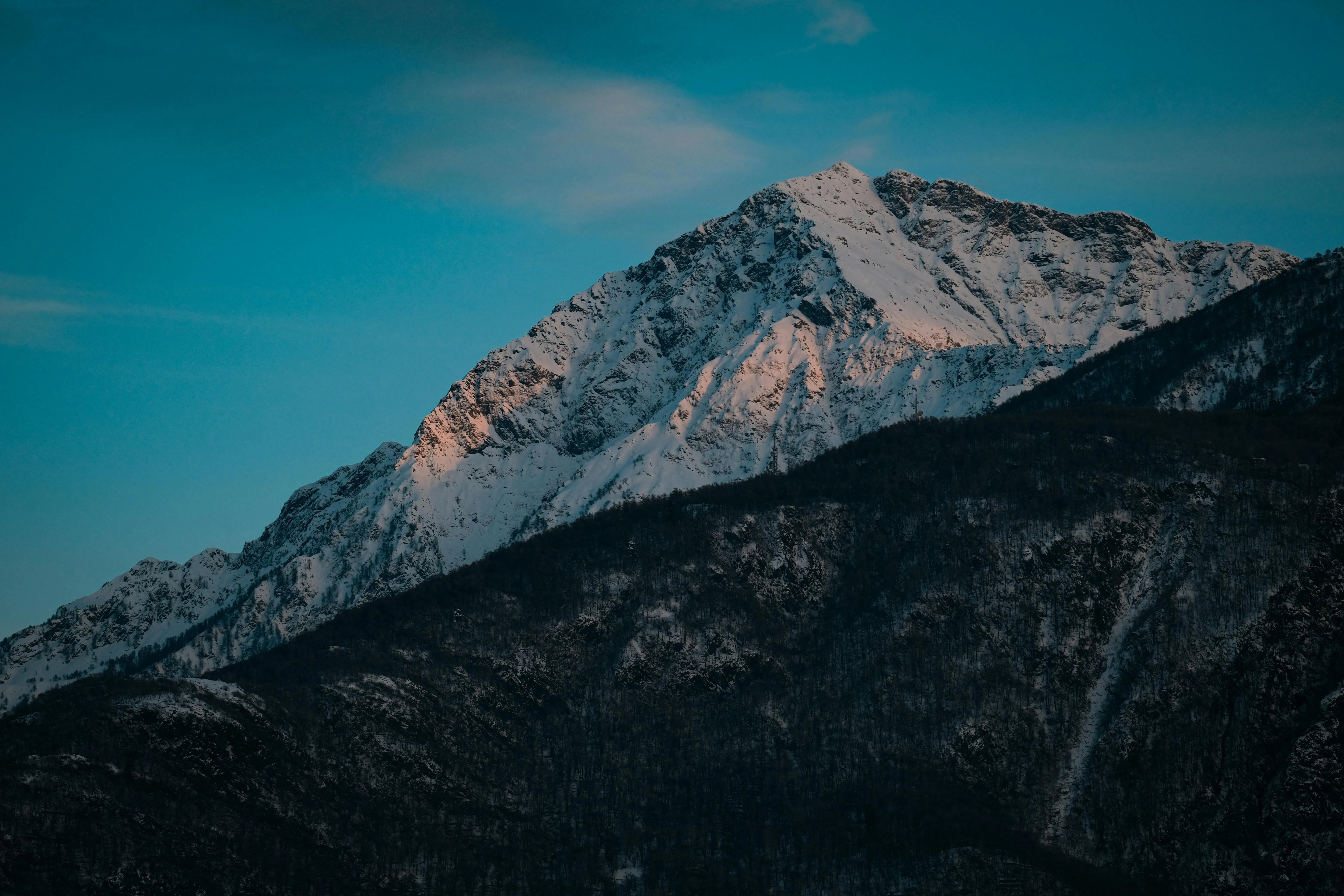 https://images.pexels.com/photos/6430101/pexels-photo-6430101.jpeg