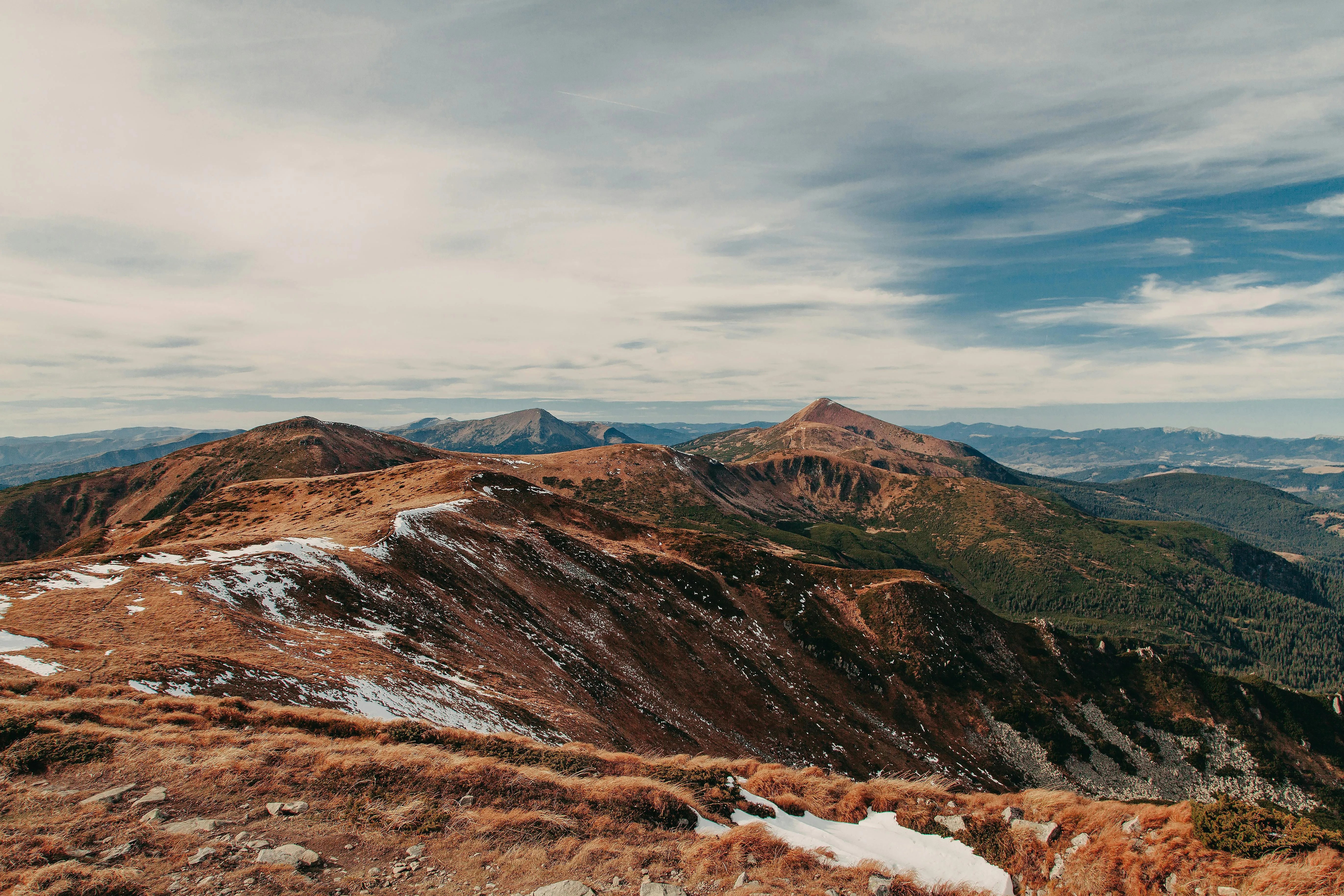 https://images.pexels.com/photos/6942438/pexels-photo-6942438.jpeg