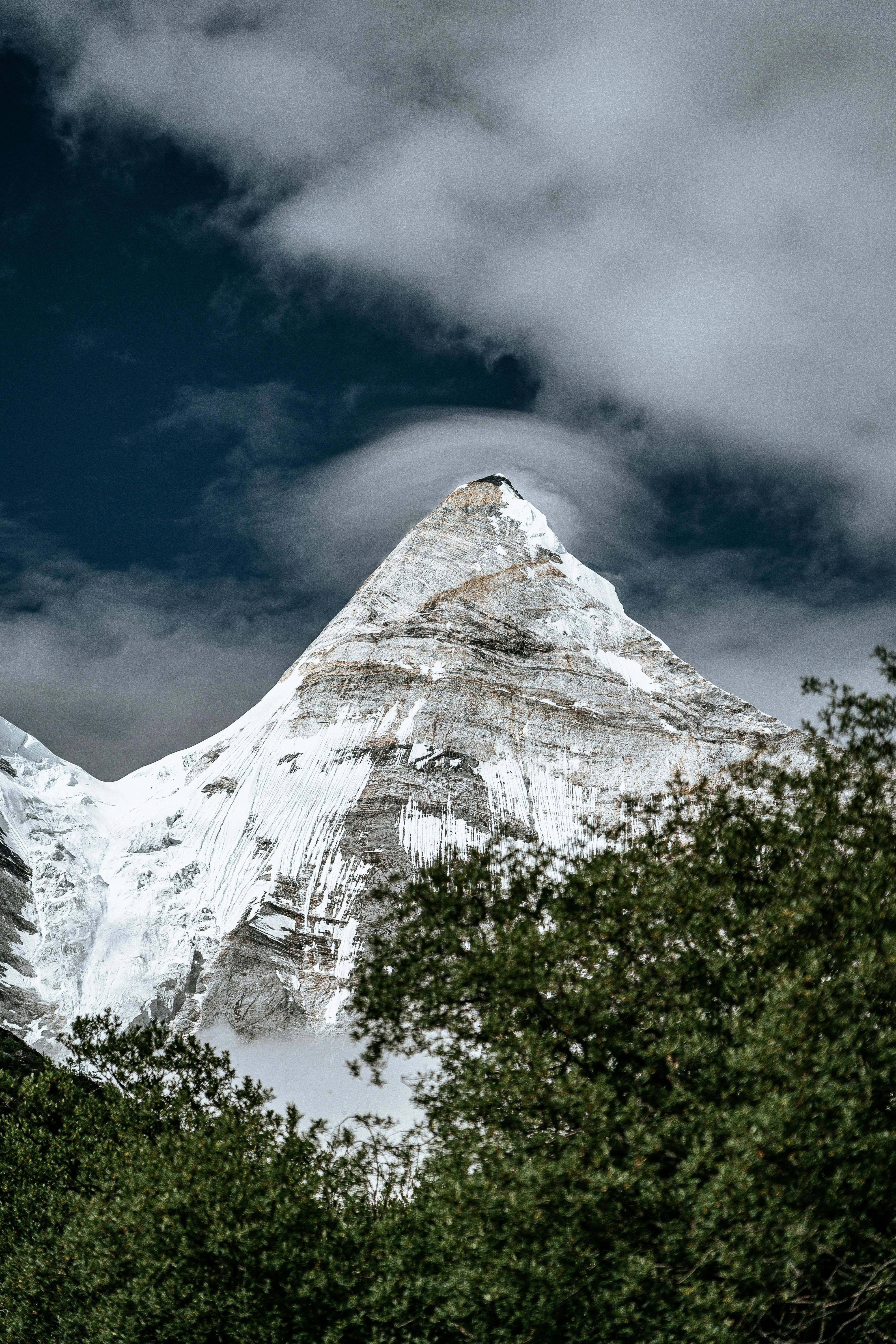 https://images.pexels.com/photos/7404455/pexels-photo-7404455.jpeg
