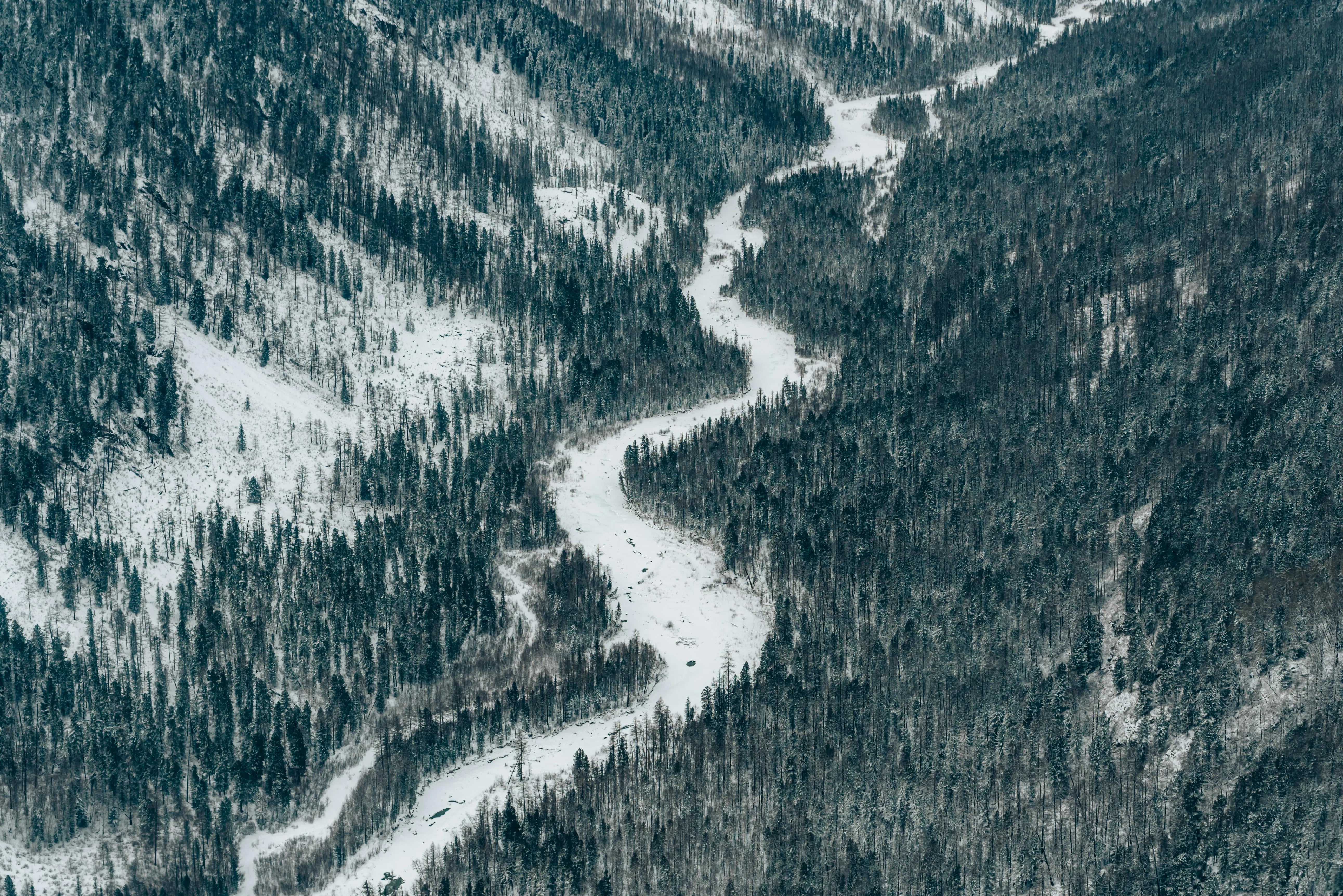 https://images.pexels.com/photos/7455714/pexels-photo-7455714.jpeg