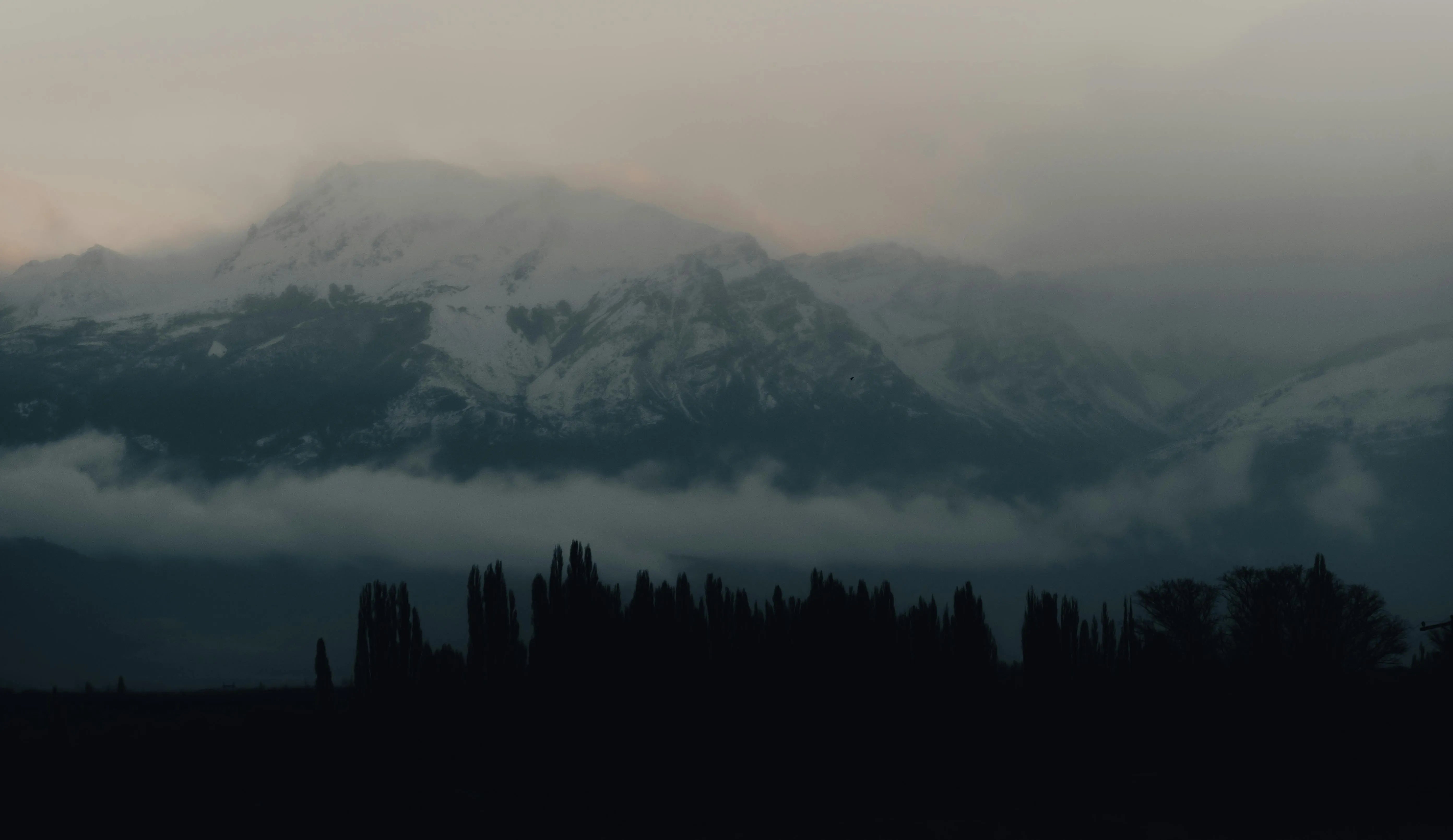 https://images.pexels.com/photos/8798105/pexels-photo-8798105.jpeg