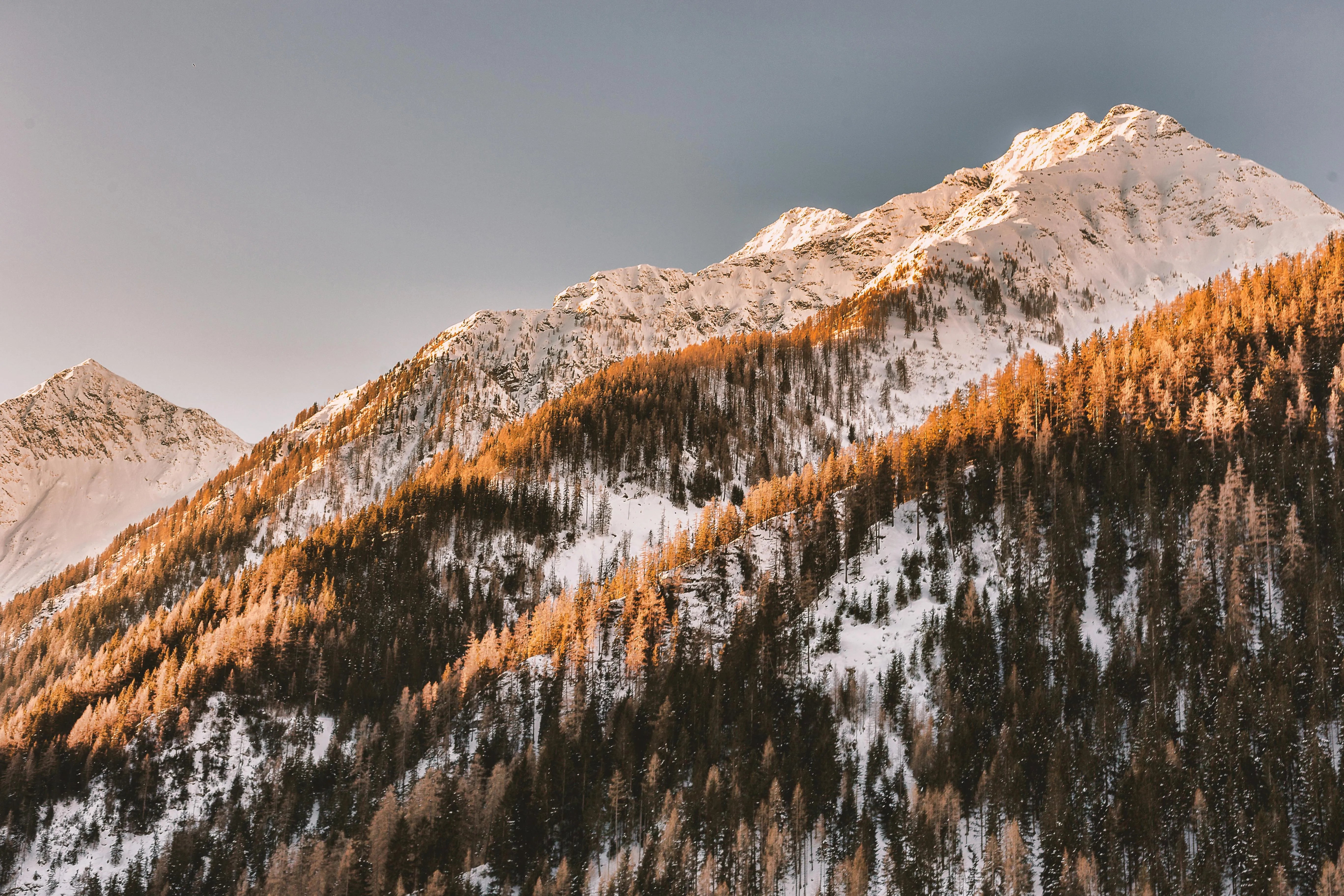 https://images.pexels.com/photos/944403/pexels-photo-944403.jpeg